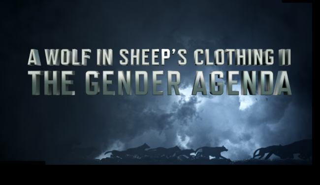 The sequel to the 2016 award-winning docudrama A WOLF IN SHEEP'S CLOTHING. Here, we profile two more wolves -- Simone de Beauvoir and Alfred Kinsey.